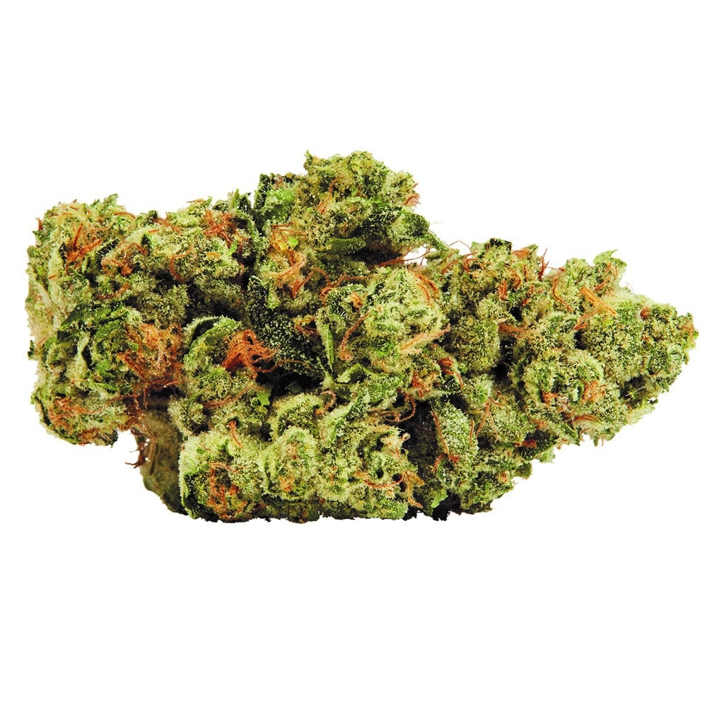 34 Street Seed Co. - 34 Street Cookie