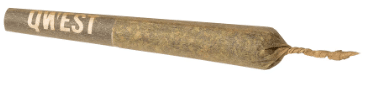 QWEST - Hash infused Pre-Roll - Image 2