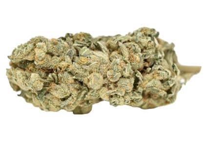 Weed Me - Blue Iguana Hybrid 3.5g