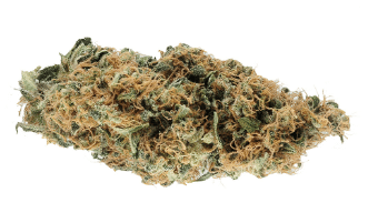 Costa Canna - Liberty Haze