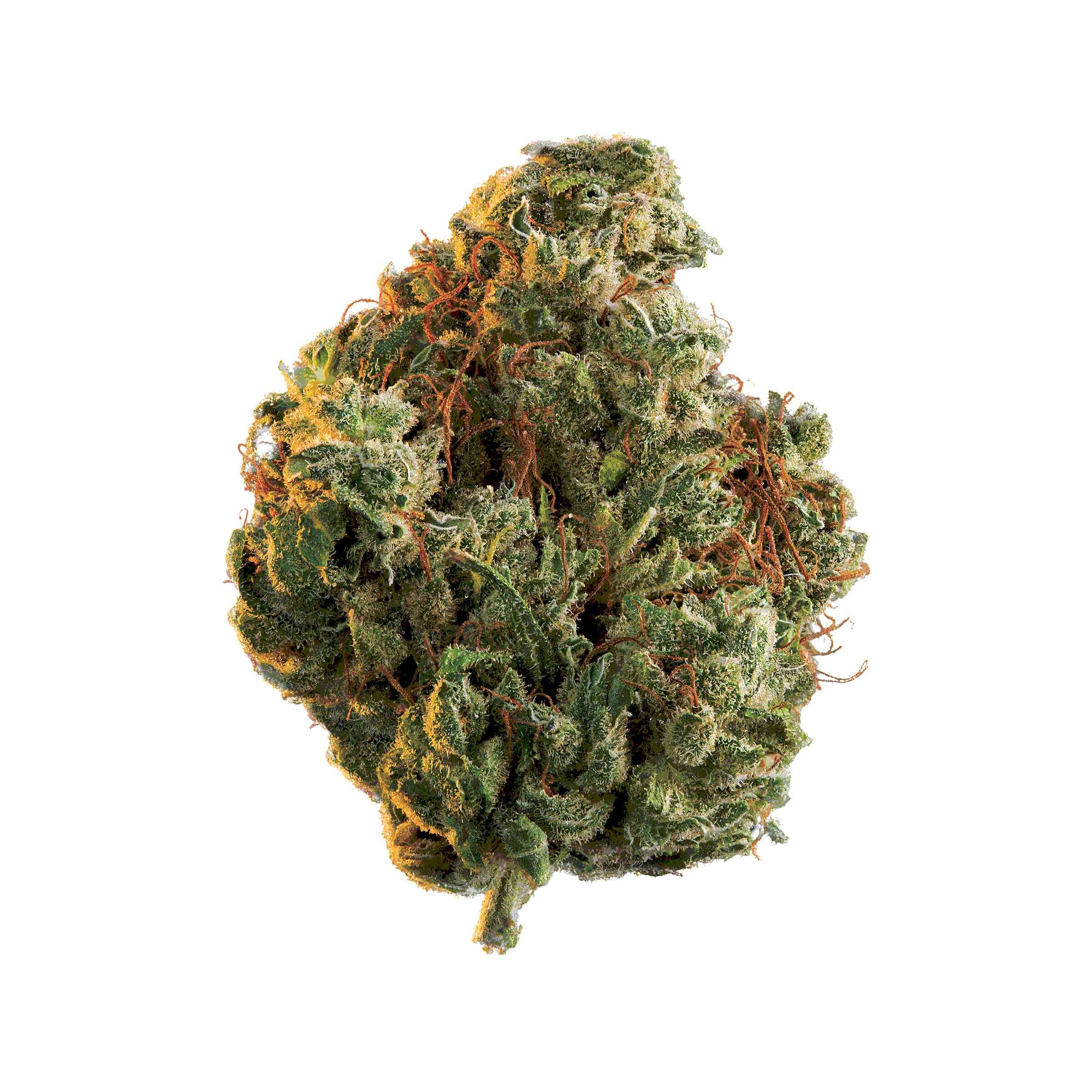 Edison Cannabis Co - Rio Bravo - Image 5