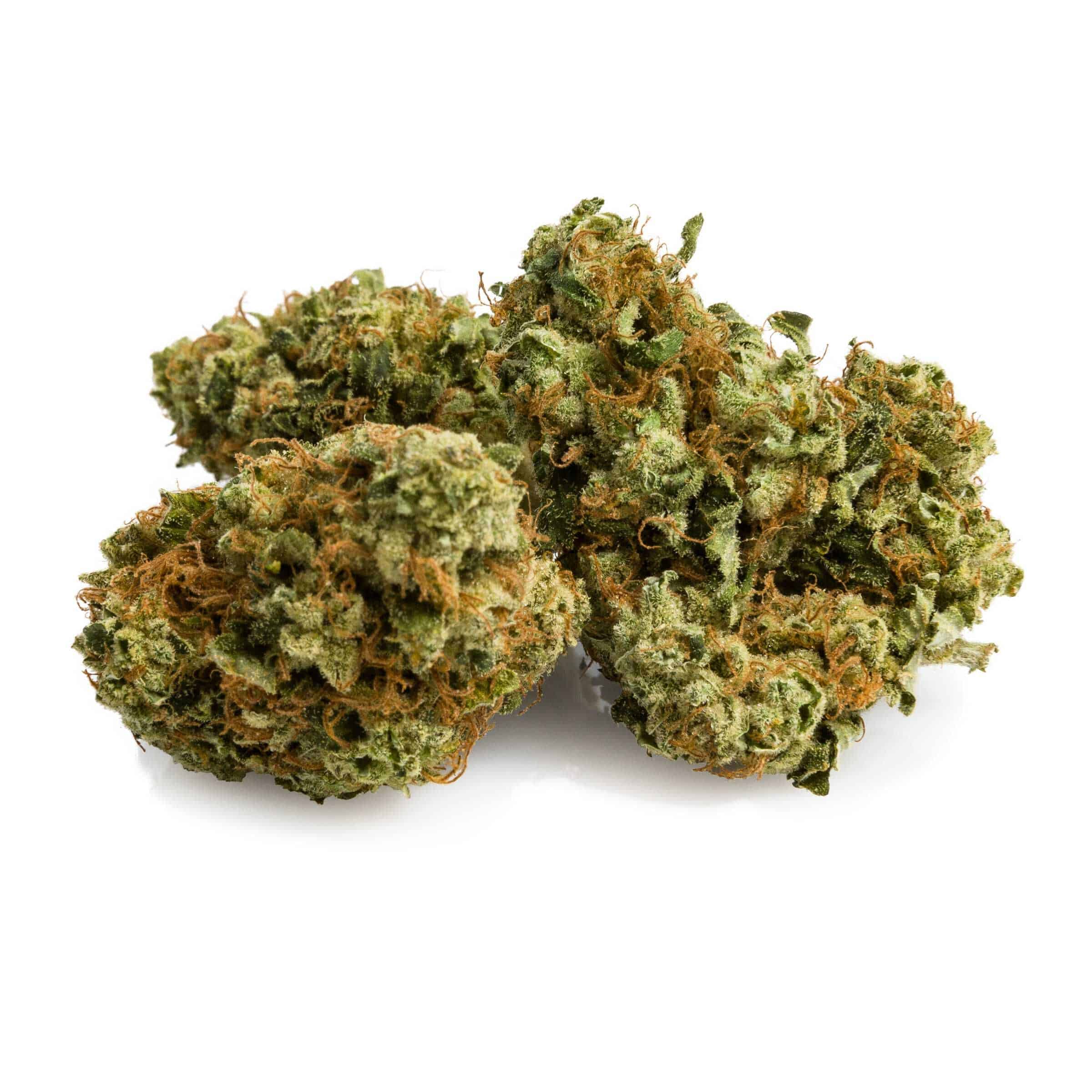 Aurora - MK Ultra