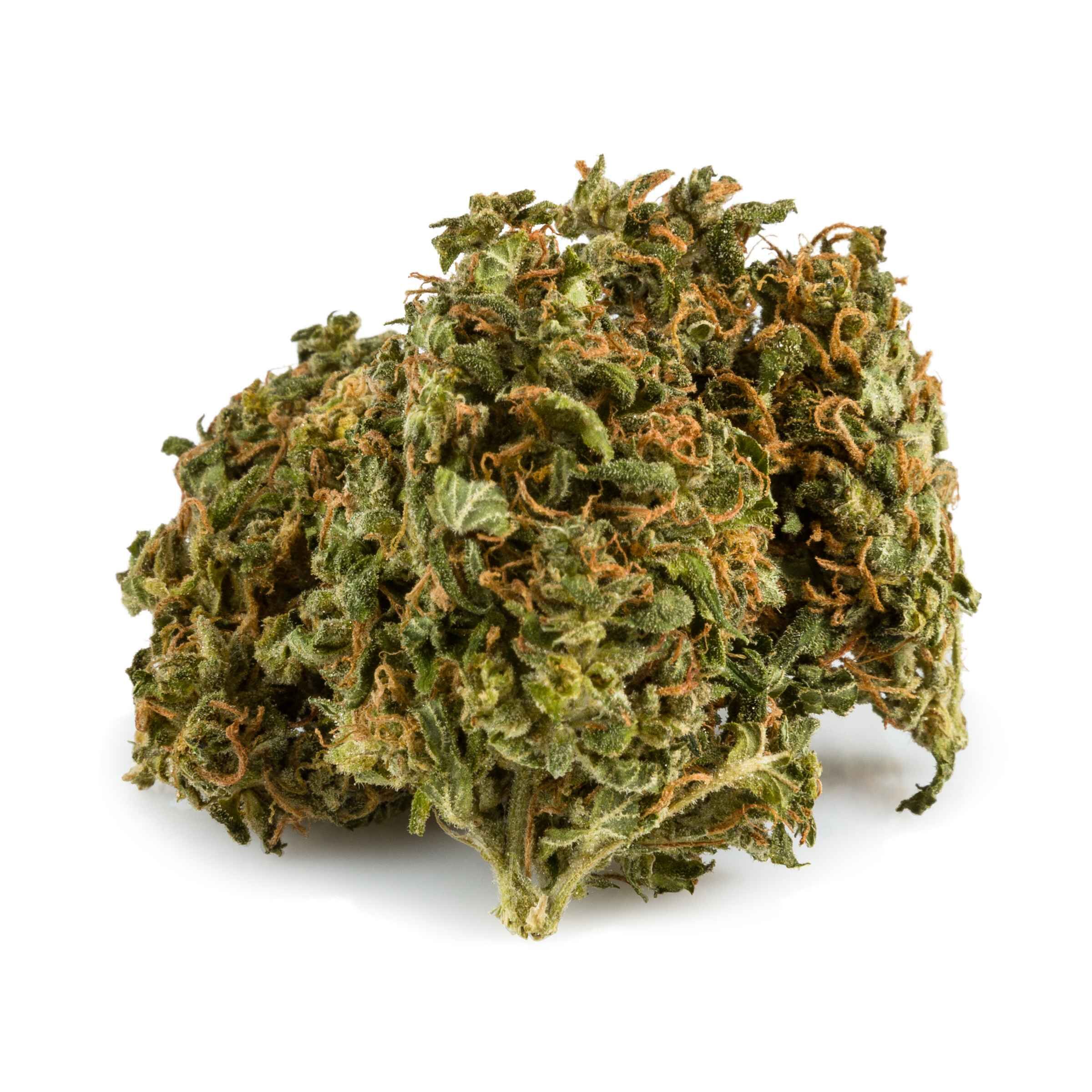 Aurora - Ghost Train Haze