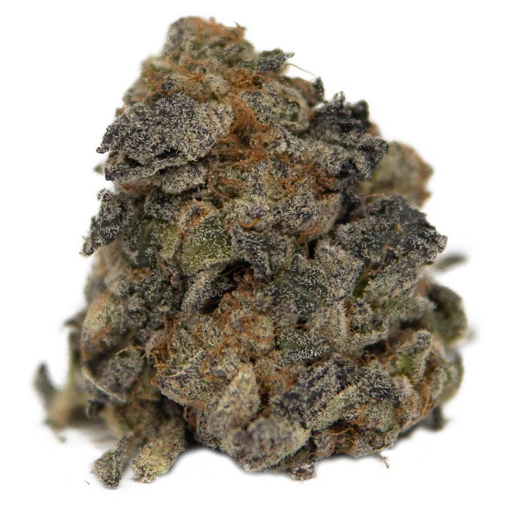 Wild Florist - Magic Mint
