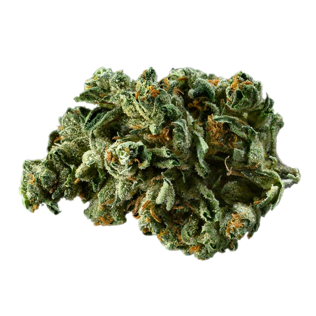 CANACA - Alien Dawg - Image 2