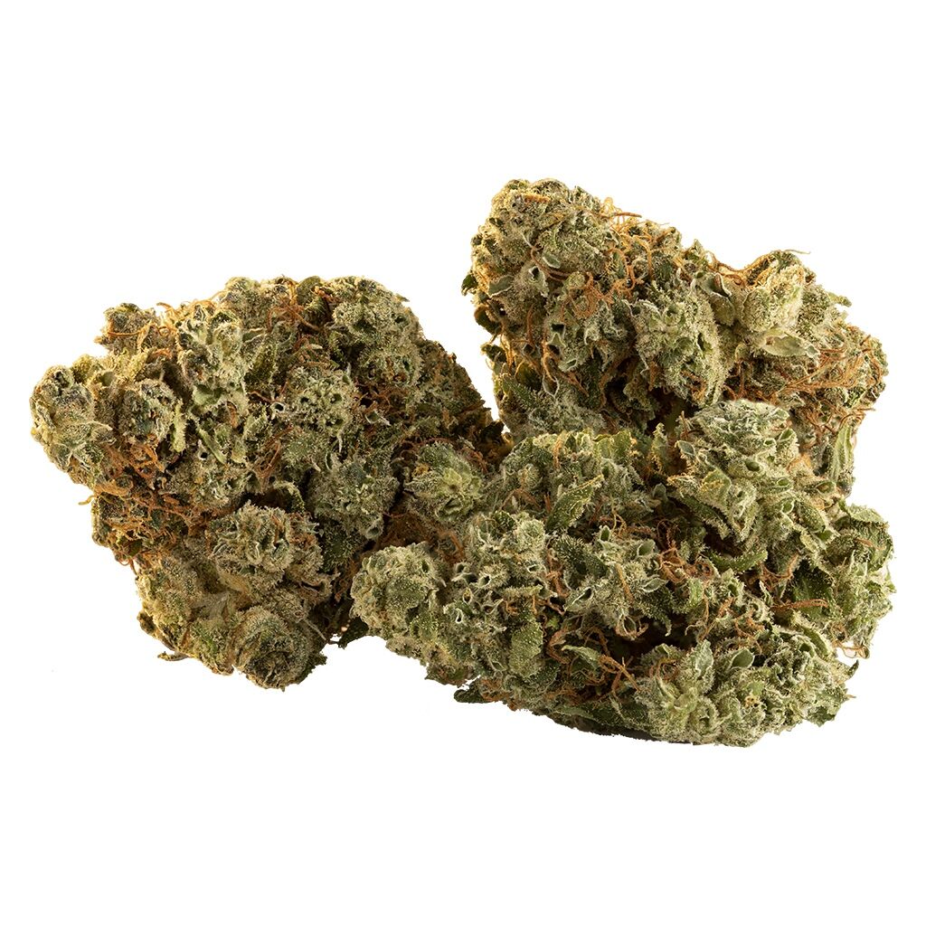 Trailblazer - Spark Buds - Image 4