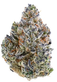 Tribal - Bubble Up Indica 3.5g