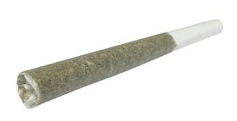1SPLIFF - Cannon Pre-Roll Indica 1x1g - Image 2
