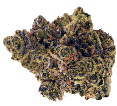 Flint & Embers - Zookies - Image 2