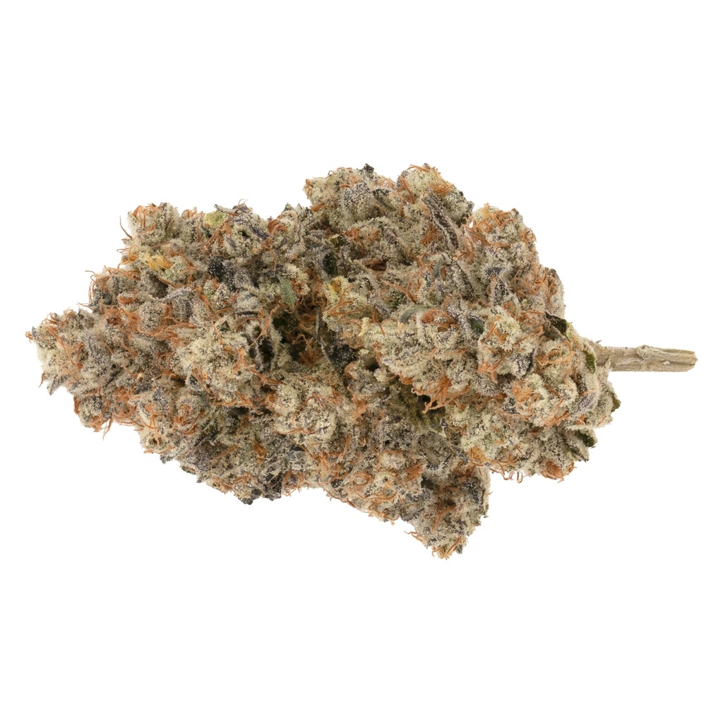 Broken Coast - Pipe Dream - Image 2