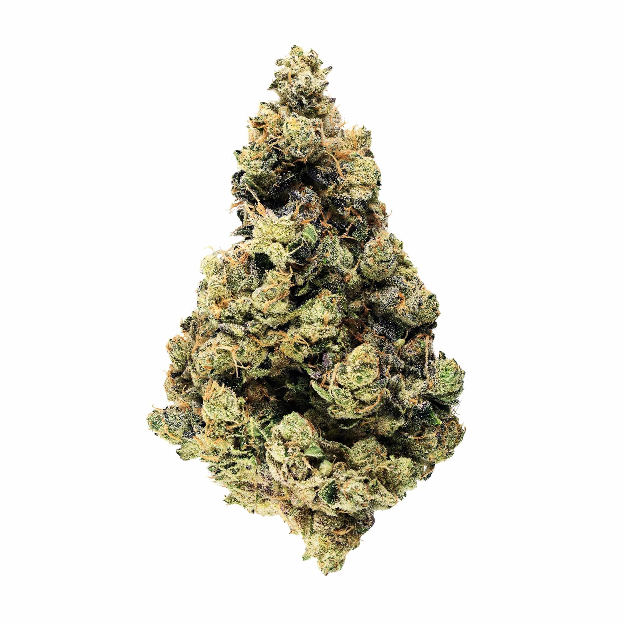 Broken Coast - Ruxton - Image 3