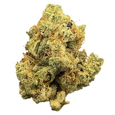 Mailman Strain - Ultraviolet Gmo Indica 3.5g