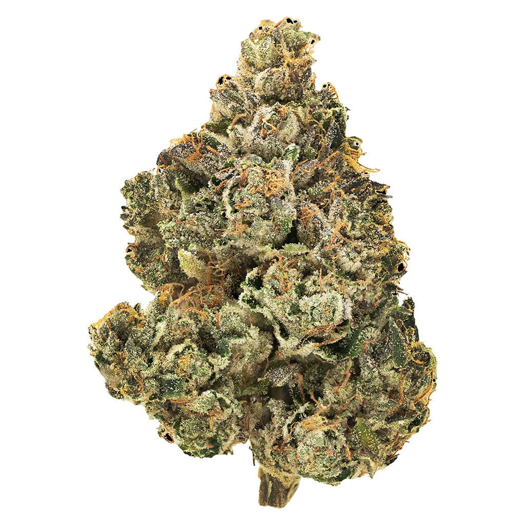 1964 - Stinky Pinky Indica 28g