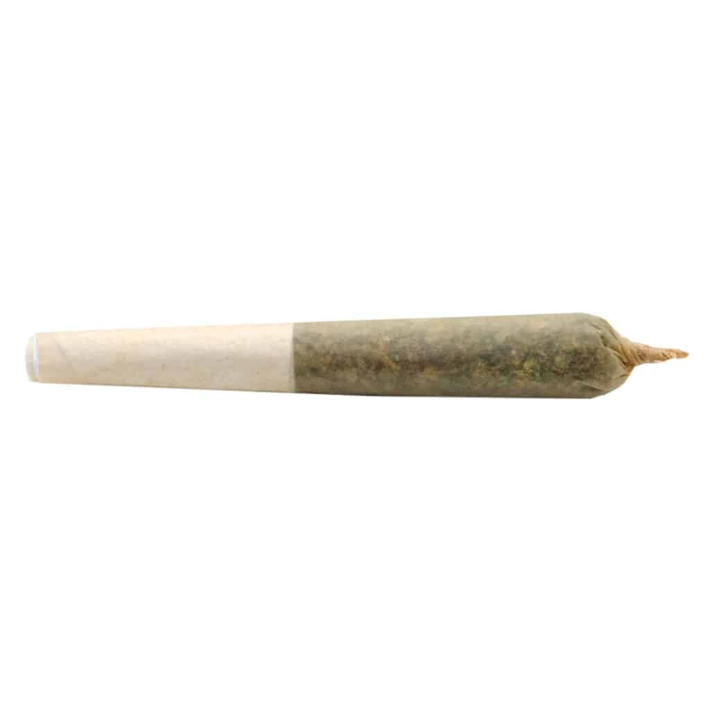 Buddy Blooms - Lil Buddy Sativa Pre-Roll Sativa 1x0.5g - Image 2