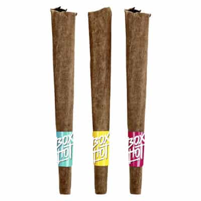 BOXHOT Fatties - Trifecta of Blunt Smoking Power Infused Blunt Combo 3x1g