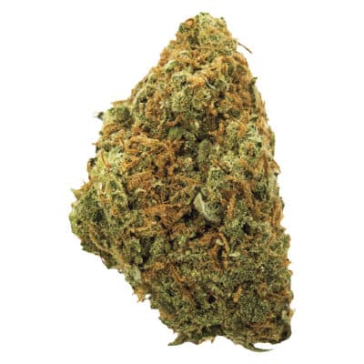 Potluck - Moose Tracks Sativa 7g