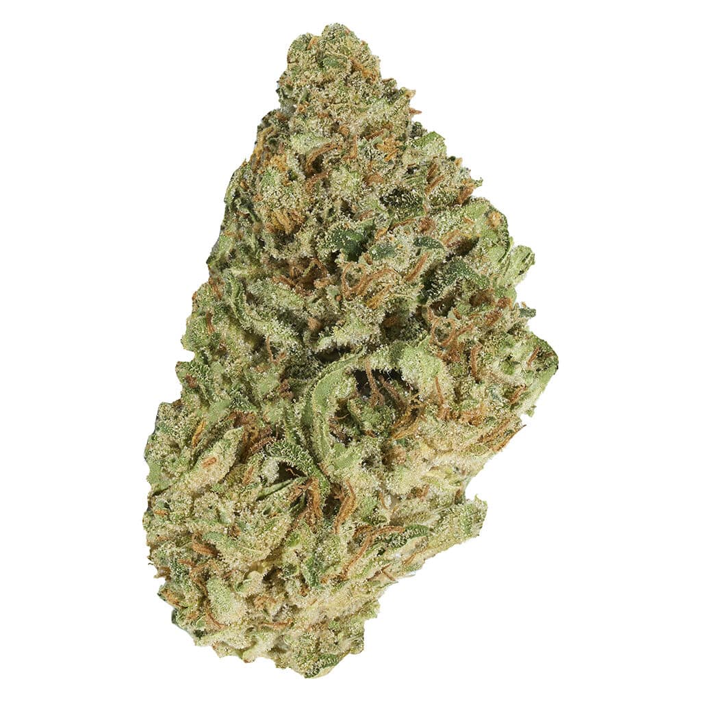 Good Supply - Jean Guy - Image 2