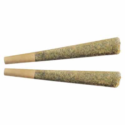Fuego - Sunny Daze Pre-Roll Hybrid 2x1g