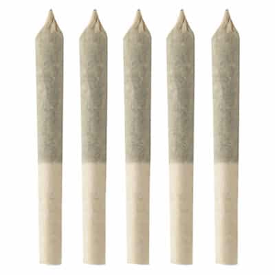 Simply Bare - BC Organic Fruit Loopz Pre-Roll Sativa 5x0.3g